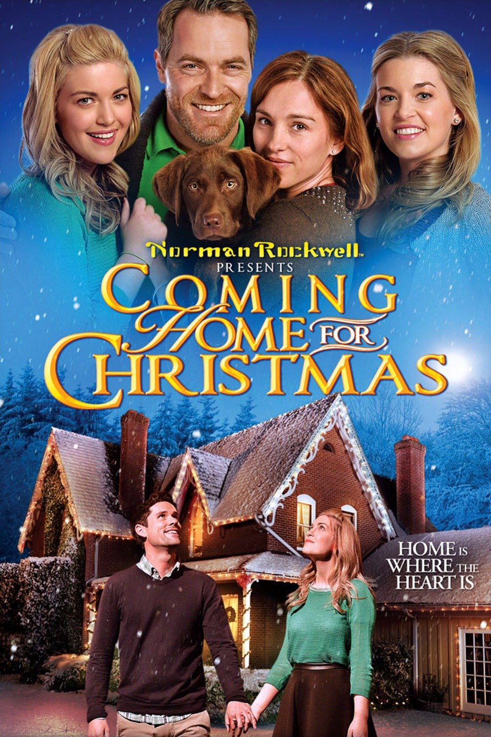 Coming Home for Christmas (2013) [80027] (A1772163005) [[Films]] --Plex--